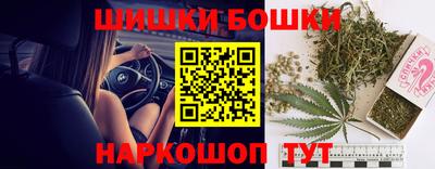 a pvp Камышлов