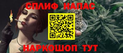 a pvp Камышлов