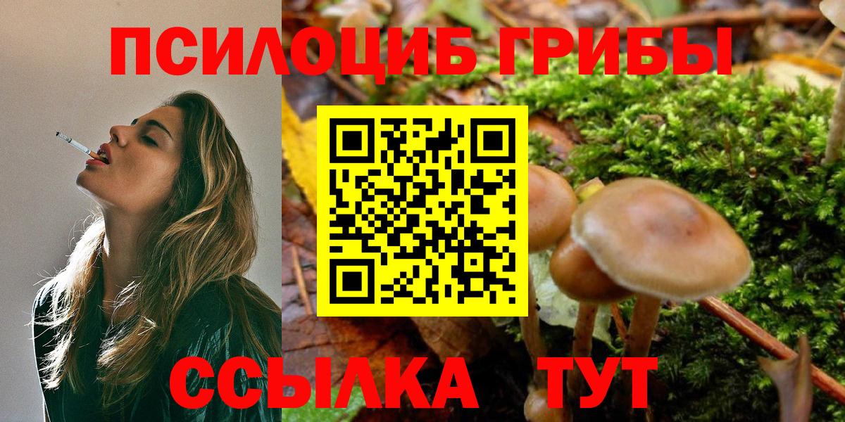 Галлюциногенные грибы мицелий Кыштым