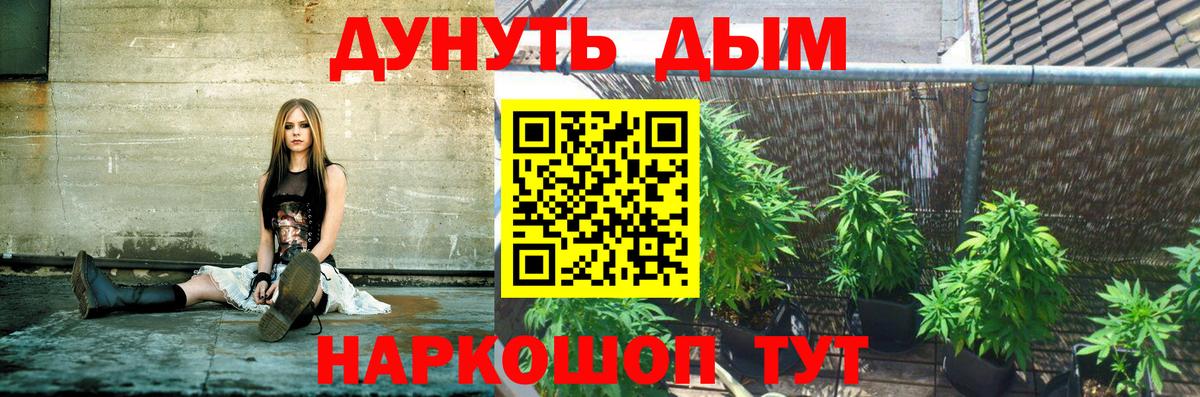 Бошки Шишки SATIVA & INDICA  Шишки марихуана семена  МАРИХУАНА план  Кыштым  Вход с VPN 